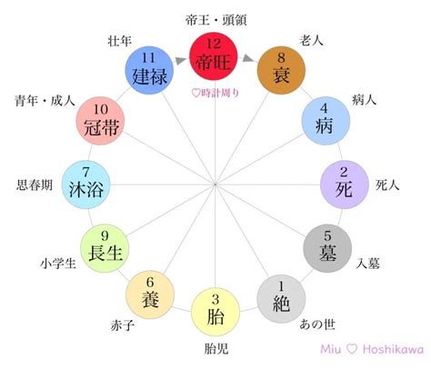 十二運星|四柱推命の【十二運星】とは？意味・調べ方・エネルギーを解説